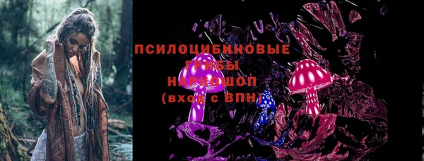 дурь Протвино