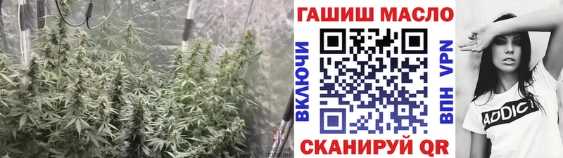 MEGA зеркало Богданович ТГК концентрат цены наркотик