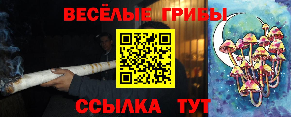 Богданович  Псилоцибиновые грибы ЛСД  где купить   Вход с VPN 