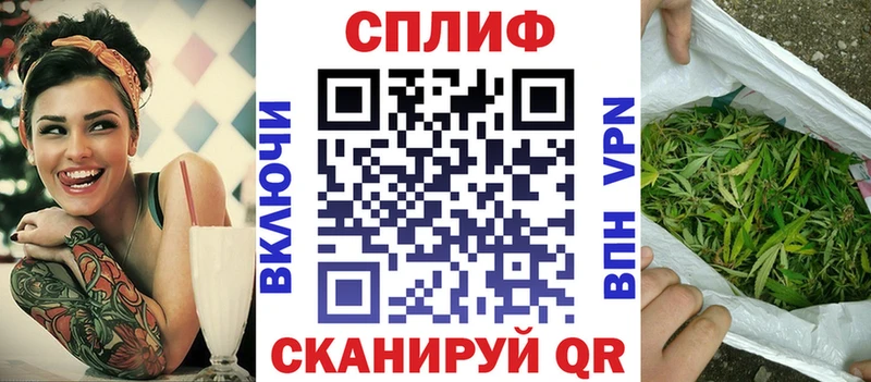 Бошки Шишки VHQ  Богданович 